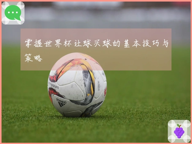 掌握世界杯让球买球的基本技巧与策略