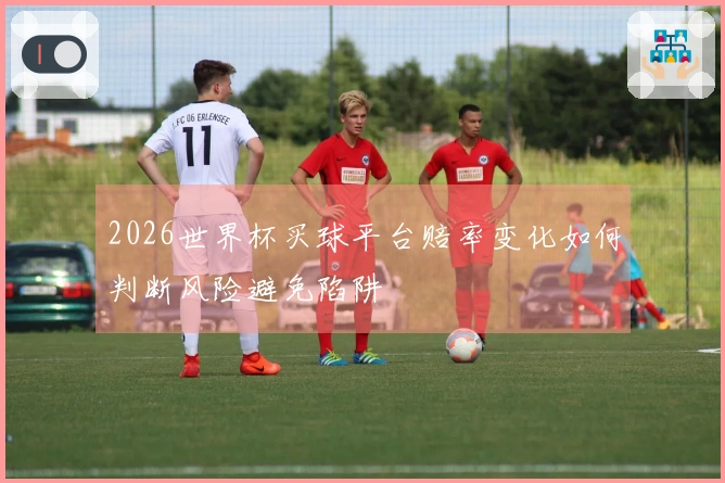 2026世界杯买球平台赔率变化如何判断风险避免陷阱