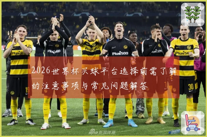 2026世界杯买球平台选择前需了解的注意事项与常见问题解答